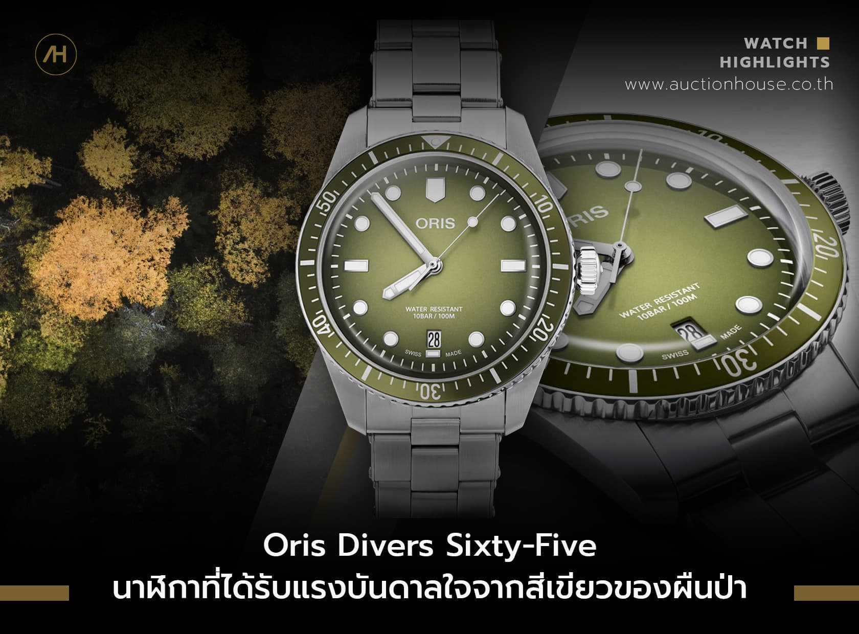 Cover image for Oris Divers Sixty-Five นาฬิกาที่ได้รับแรงบันดาลใจจากสีเขียวของผืนป่า